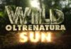 foto-di-wild-sun