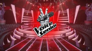 the voice senior italia