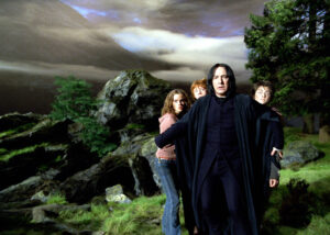 Cast Harry Potter